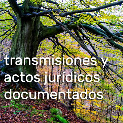 EAF18:Impuesto sobre Transmisiones Patrimoniales y Actos Jurídicos Documentados